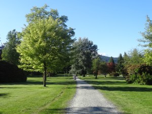 Grand Boulevard Park - North Vancouver4