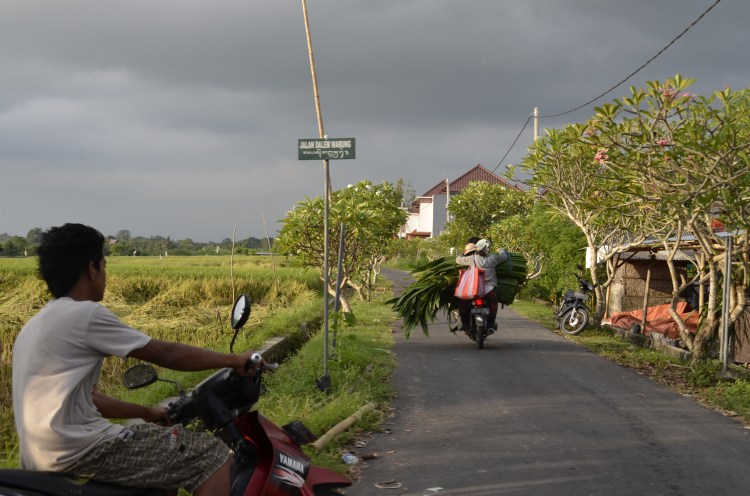 paisagem moto bali  ubud