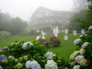 45402_1577295509386_2142391_n