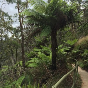 trilhas na Australia