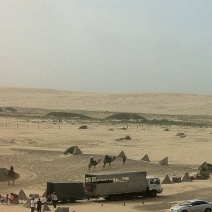 Onde ver camelos australia