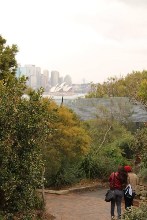 roteiro brasileiros sydney