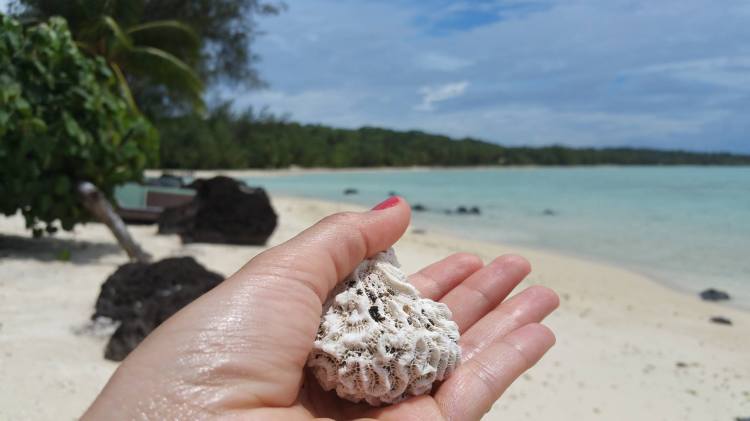 praia cook island dicas